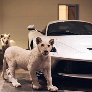 国产一级免费高清AV
